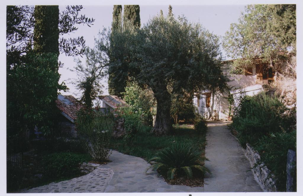 Apartment Kyparissi & Tiros